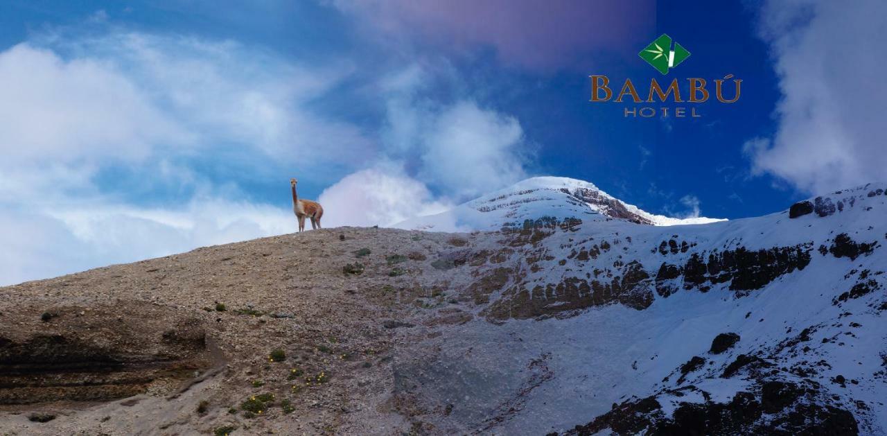 Hotel Bambu 리오밤바 외부 사진